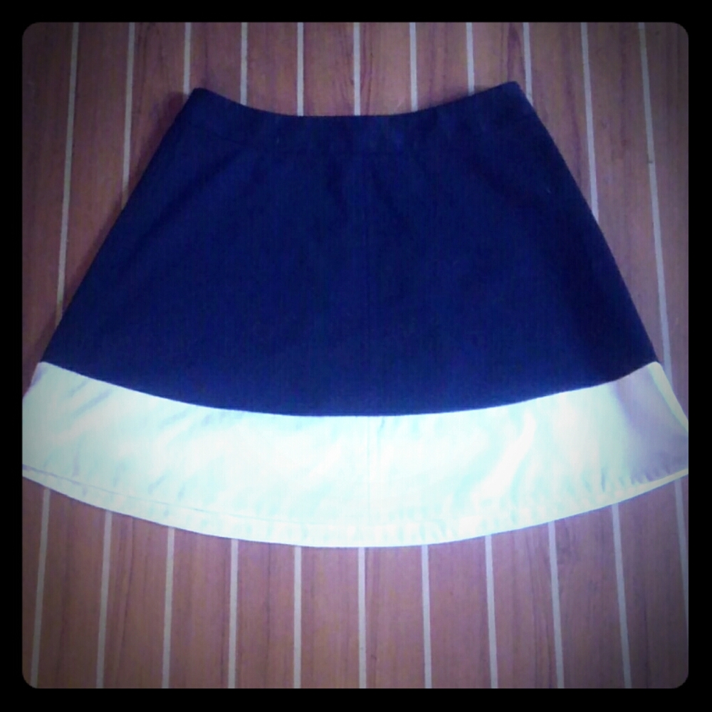 Ann Taylor Loft Skirt